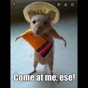 Meet your Posher, Aiden